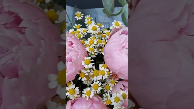 Букет с пионами и ромашками (camomile bouquet) №2 смотреть онлайн