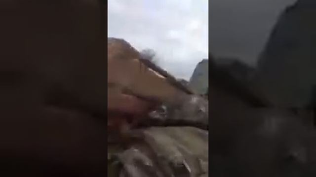 Мастер по Джиу-джитсу смотреть онлайн