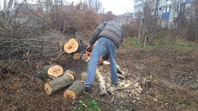 Штиль 260 в работе.