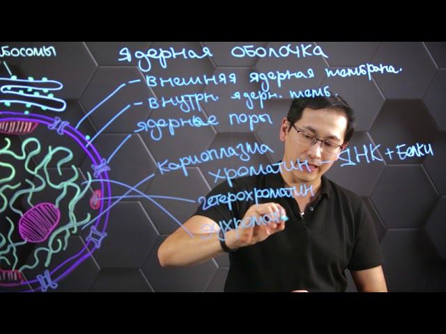 Ядро. 10 класс. смотреть онлайн