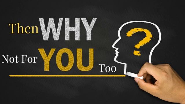 Hire Professional Wix WordPress Shopify Squarespace Joomla Blogger website designer or developer смотреть онлайн