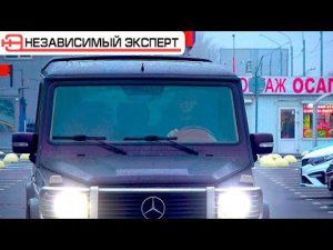 ГЕЛИК БРАБУС, ЧТО НАМ ТЕПЕРЬ ДЕЛАТЬ?