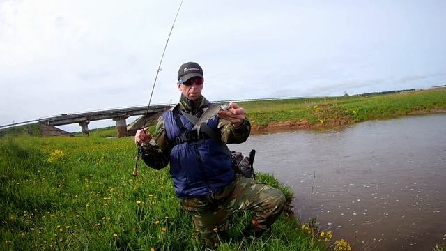 Черви Berkley Gulp!