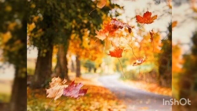 Стихи "НЕБО ОСЕНЬЮ" Читает автор Лана Гребенюк смотреть онлайн