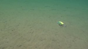 Шифтер минноу СТРАЙК ПРО обзор воблера strike pro Shifter Minnow братья щербаковы воблер на щуку ок