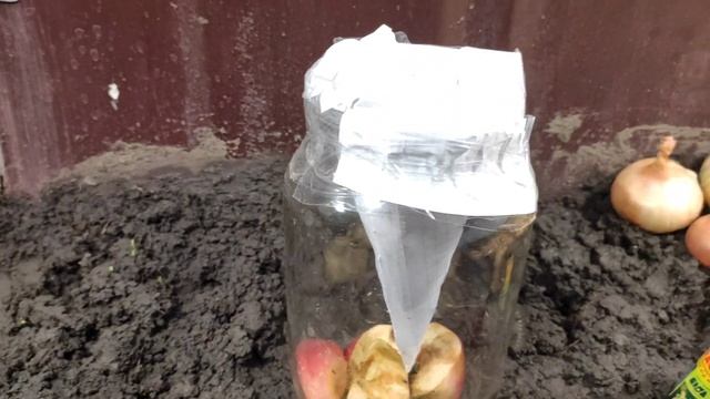 Как избавиться от мошкары. Ловушка для мошек смотреть онлайн