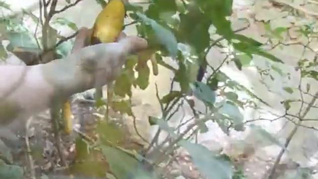 Эйлат зимой. Видео прогулка смотреть онлайн