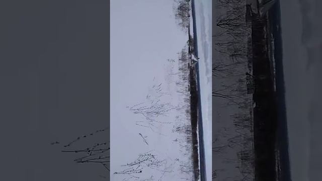 Лыжи это здорово смотреть онлайн