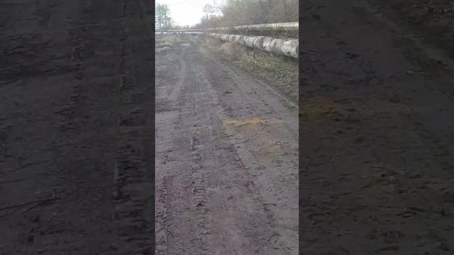 Строительство.Южная часть острова Котлин.Цитадельская дорога.г.Кронштадт.Санкт-Петербург. смотреть онлайн
