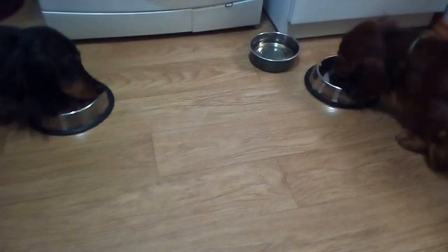 корм Хороший хозяин смотреть онлайн