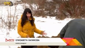 Тампонирование артезианских скважин