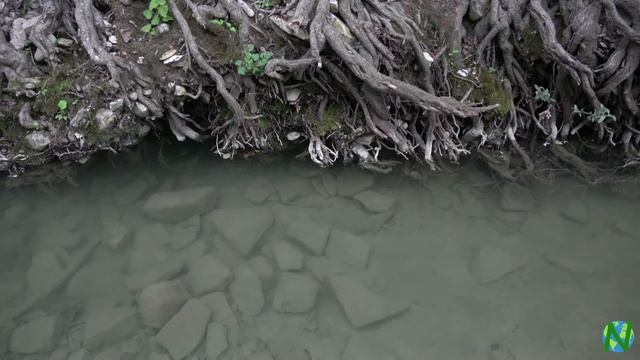 ASMR Nature Sounds Waterfall River Звуки леса Горная речка Рыбки смотреть онлайн