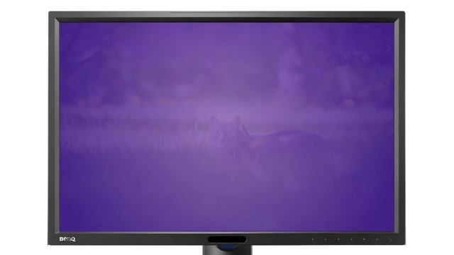 Монитор BenQ 24" PG2401PT обзор. смотреть онлайн