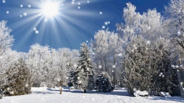 ФУТАЖ ЗИМНИЙ ЛЕС3 смотреть онлайн