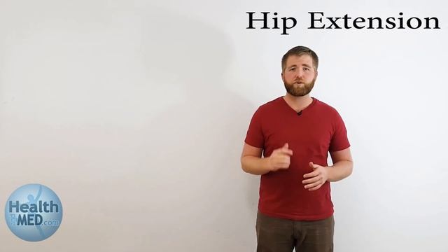 How To Strengthen Hips & Increase Mobility On a Vibration Plate Machine - GForce Vibration (Video 4 смотреть онлайн