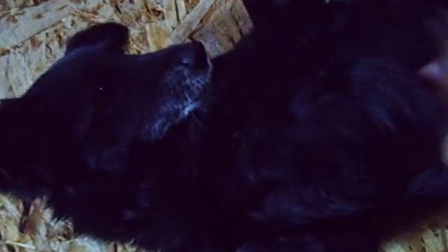 Запасы на зиму...:-) смотреть онлайн
