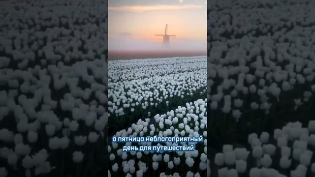 Прогноз на 4-10 марта 2024 г. Астрологический прогноз-гороскоп для всех знаков зодиака. смотреть онлайн