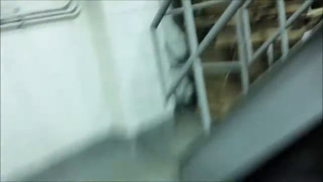 Техосмотр по американски?!  Эксклюзив. Как это происходит в США