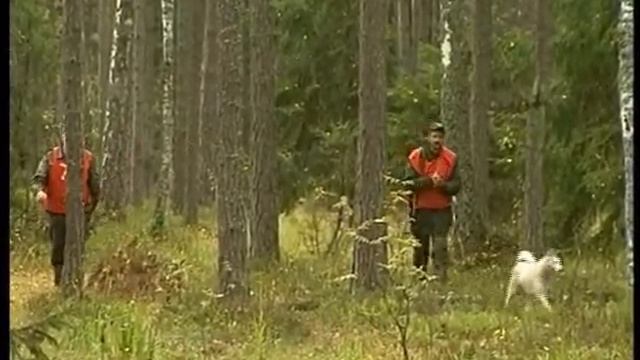 Пружаны Охота Отдых смотреть онлайн