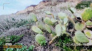 ☆От повышенной потливости// Прощай гипергидроз// Мощный саблиминал ?