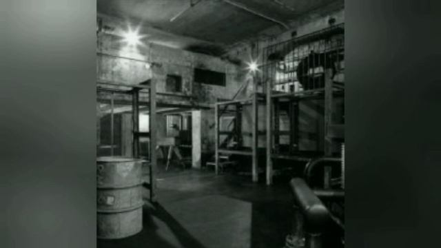 റബ്ബർ ഭ്രാന്തൻ смотреть онлайн