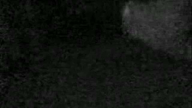 ganja farmERS смотреть онлайн