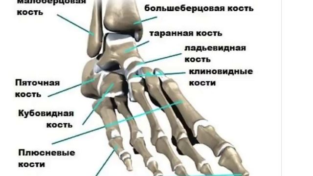 Путешествия Созерцания