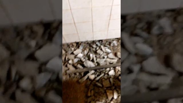 Показали где мыть ноги смотреть онлайн