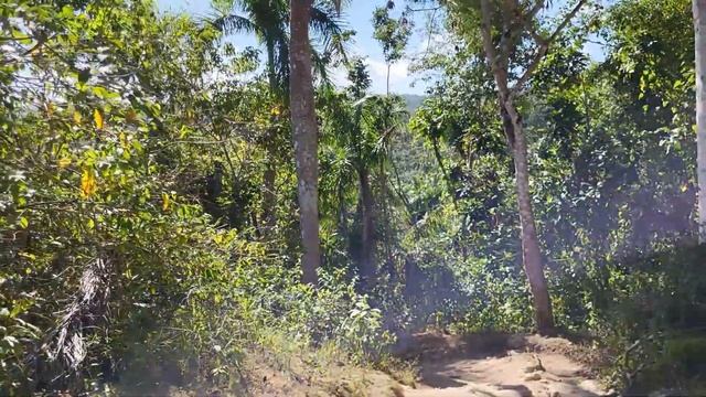 Прогулка через ДЖУНГЛИ? | Самый большой ВОДОПАД в ДОМИНИКАНЕ?️| #906 смотреть онлайн