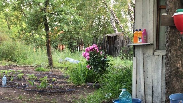 Что делать если подвернул ногу смотреть онлайн