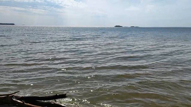 на берегу Обского моря, нудистский пляж, Новосибирск смотреть онлайн