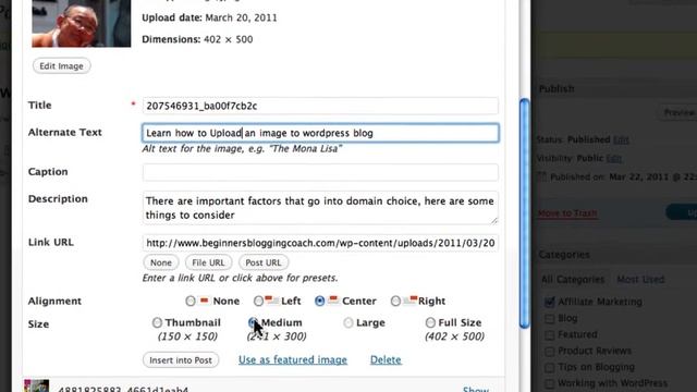 Uploading Images and Videos to WordPress смотреть онлайн