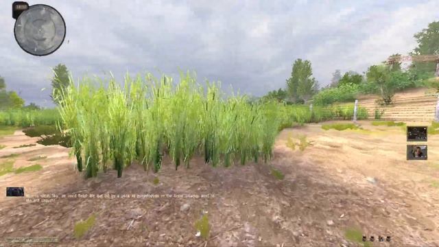 Old Friend Living Legend Stalker Anomaly смотреть онлайн