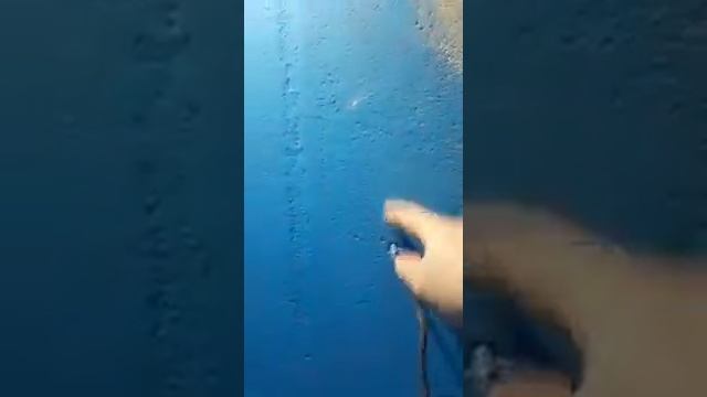 Гидроизоляция Knauf подвела