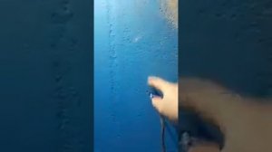 Гидроизоляция Knauf подвела