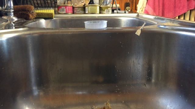 Forest Princess Orchid Flask Update смотреть онлайн