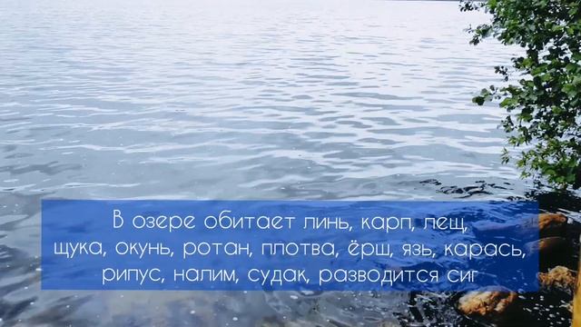 Красивое и чистое озеро Чебаркуль в Челябинской области смотреть онлайн