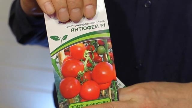 Выбираем лучшие гибриды томатов от фирмы "Партнёр". смотреть онлайн