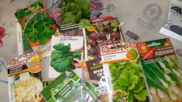 Сезон 2022 ОТКРЫТ!!! Какую зелень сажаем в теплицу В МАРТЕ??? + первая поездка на дачу! смотреть онлайн