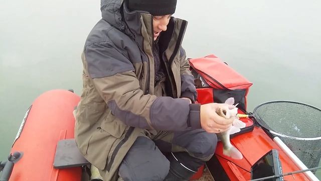 Судак и толстолобик на джиг в Ставропольском крае. Ноябрь 2020 смотреть онлайн