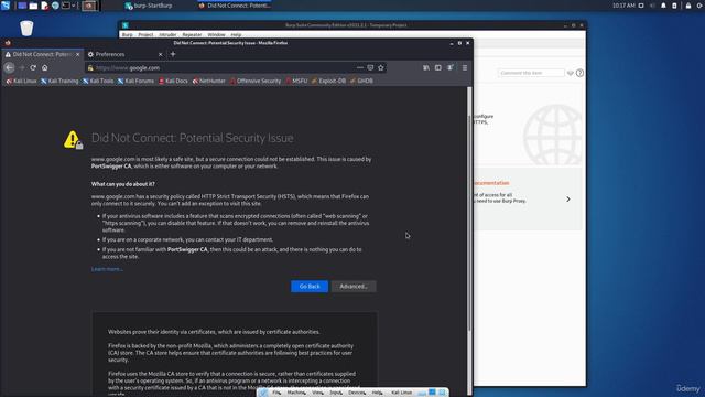3.7. Web Application Assessment Tools - Burp Suite смотреть онлайн