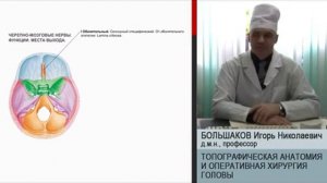 Лекция. Топографическая анатомия и оперативная хирургия головы — Большаков
