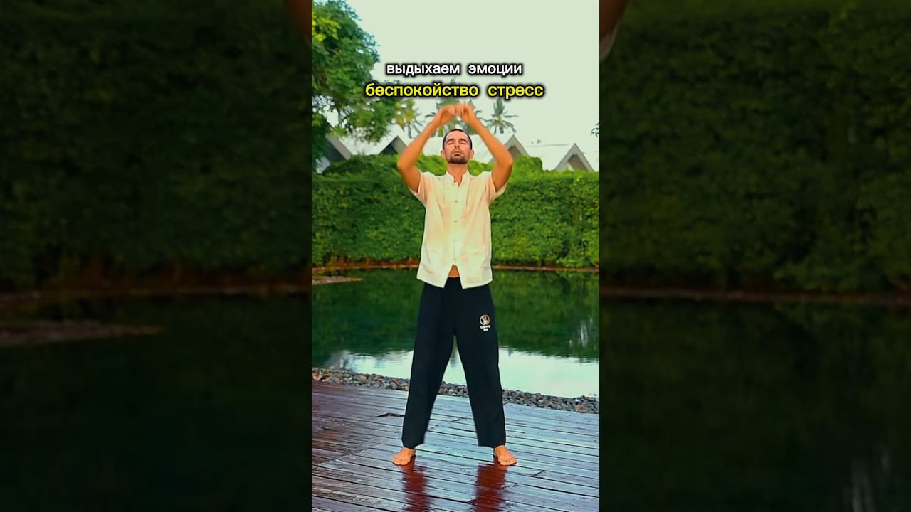 Отпускаем стресс и чрезмерные эмоции из своего тела