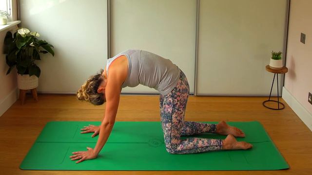 Level Up Your Yoga: Master Cat Cow Pose in Just 5 Minutes смотреть онлайн