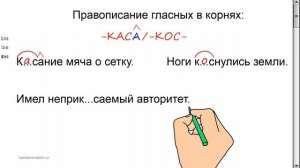 Русский язык. Гласные в корнях -КАС- / -КОС- с чередованием.
