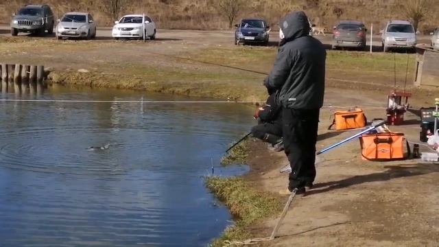 Мисайлово Trout. Вот так ловилась форель смотреть онлайн