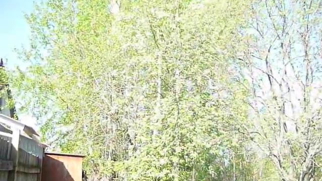 P1040014 смотреть онлайн