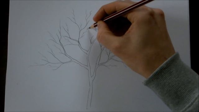 How to Draw a Tree Step by Step for Beginners In 8 Minutes смотреть онлайн