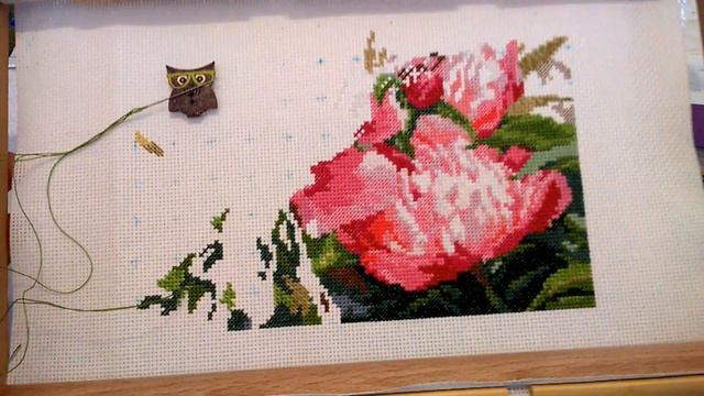 Алиса "Синичка и пионы"/ Начало нового процесса смотреть онлайн