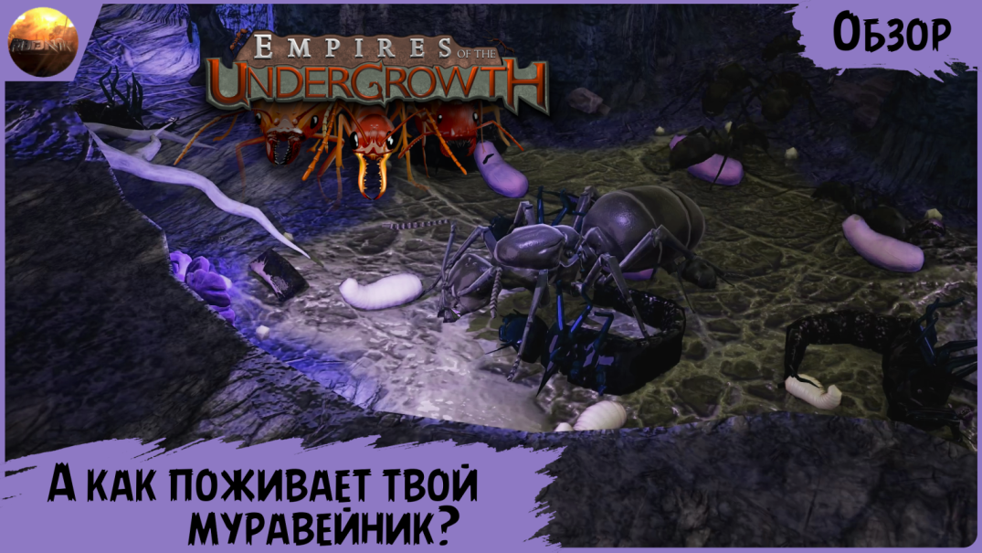 Empires of the Undergrowth - А как поживает твой муравейник? (Обзор) смотреть онлайн